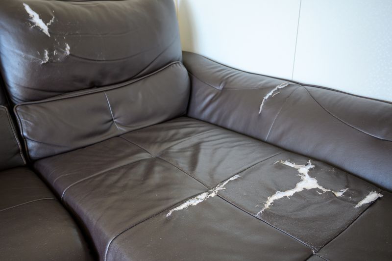 Guide — Cost of Leather Restoration